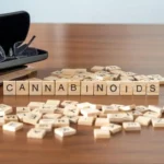 intro cannabinoids 1 1024x768.jpg